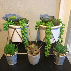 Fake succulents plants (Bundle) 🌱
